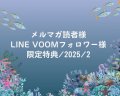 限定特典/2025/2(トゲ巻貝チャーム2個)