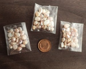 画像3: 淡水パールミックス(10g)